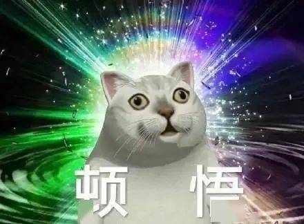 下载了反诈APP<strong></p>
<p>火币app下载</strong>，为何还是被骗？