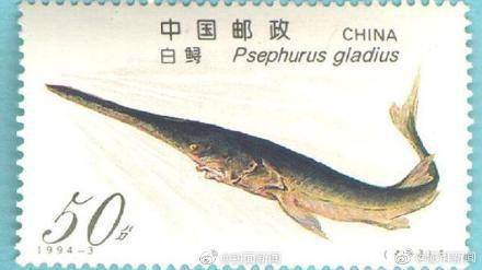 IUCN官网：全球现存26种鲟鱼均面临灭绝危险