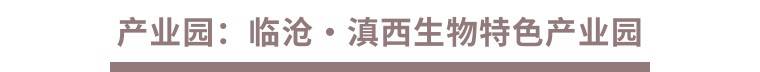 一叶茶仓——中国原料茶交易平台