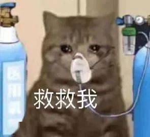 快快快加油<strong></p>
<p>币快快</strong>！油价即将上涨！