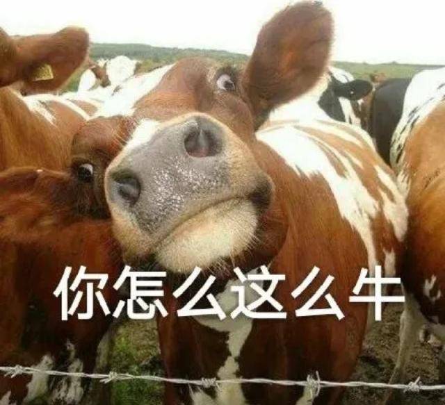 有1亿网友<strong></p>
<p>币友投币网</strong>，在抖音观看“人类灭绝”的出镜……