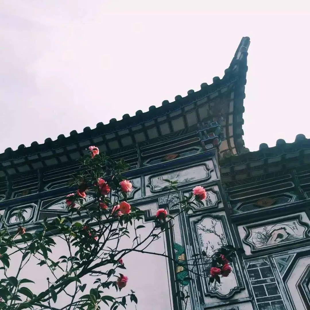 不诚<strong></p>
<p>币诚</strong>，无物