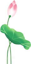 沂水蝴蝶谷：莫遣佳期过<strong></p>
<p>蝴蝶币</strong>，看看蝴蝶飞