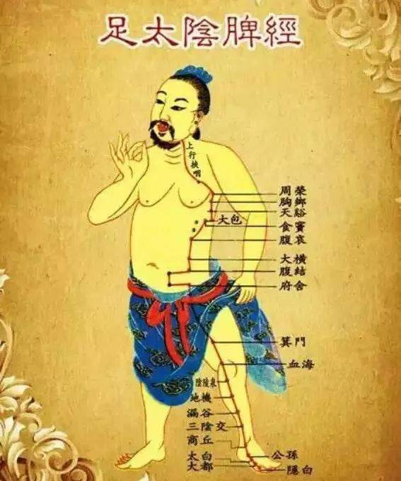 每天揉一揉这里<strong></p>
<p>揉鸟币</strong>，慢性病都赶跑！