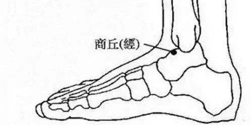 每天揉一揉这里<strong></p>
<p>揉鸟币</strong>，慢性病都赶跑！