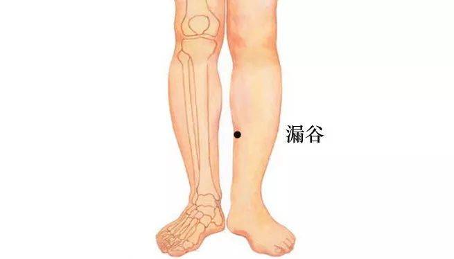 每天揉一揉这里<strong></p>
<p>揉鸟币</strong>，慢性病都赶跑！