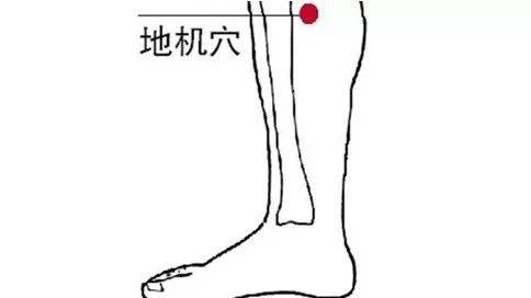 每天揉一揉这里<strong></p>
<p>揉鸟币</strong>，慢性病都赶跑！