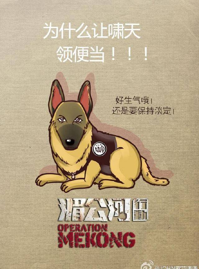狗年来了<strong></p>
<p>狗年币</strong>，这些电影中的狗狗你爱吗？