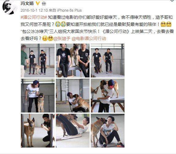 狗年来了<strong></p>
<p>狗年币</strong>，这些电影中的狗狗你爱吗？