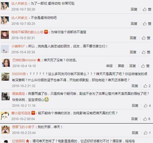 狗年来了<strong></p>
<p>狗年币</strong>，这些电影中的狗狗你爱吗？