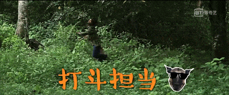 狗年来了<strong></p>
<p>狗年币</strong>，这些电影中的狗狗你爱吗？