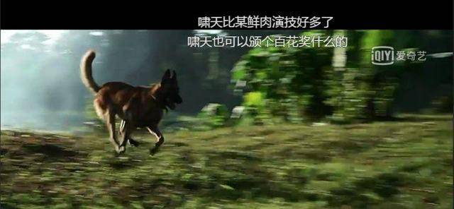 狗年来了<strong></p>
<p>狗年币</strong>，这些电影中的狗狗你爱吗？