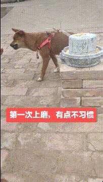 笑话：那给你一千万<strong></p>
<p>一千万法币</strong>，离开你女儿！
