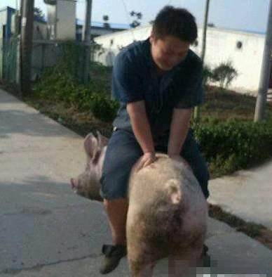 在屋里也让人给你打伞<strong></p>
<p>屋里币</strong>？有这么矫情吗？