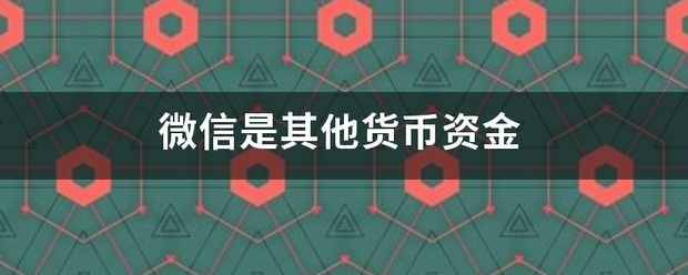 微信是其<strong></p>
<p>其他货币资金</strong>他货币资金