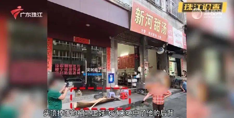 一男子被树叶砸骨折！获赔2.2万元<strong></p>
<p>货币的时间价值案例</strong>，网友：就知道是它…