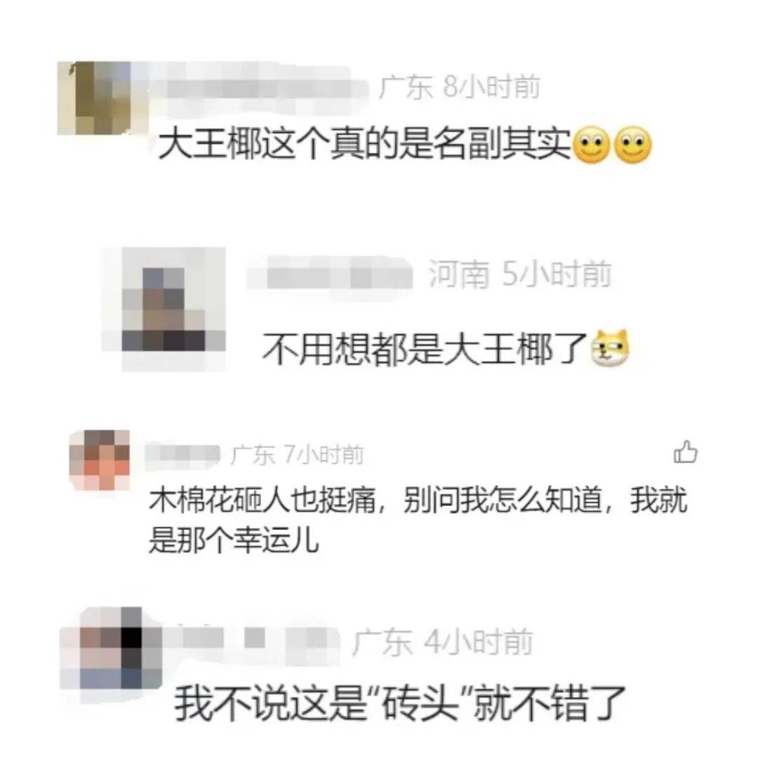 一男子被树叶砸骨折！获赔2.2万元<strong></p>
<p>货币的时间价值案例</strong>，网友：就知道是它…