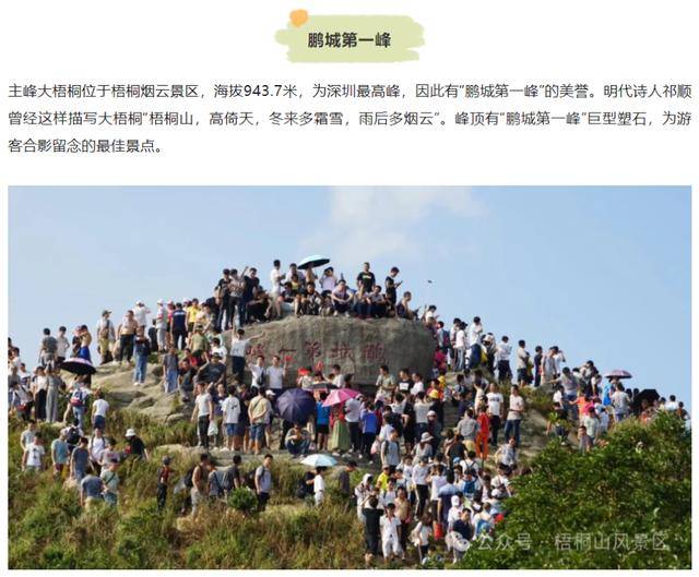 深圳“鹏城第一峰”是假石头<strong></p>
<p>有没有隐藏软件的软件</strong>？景区正式回应：是人造的假山