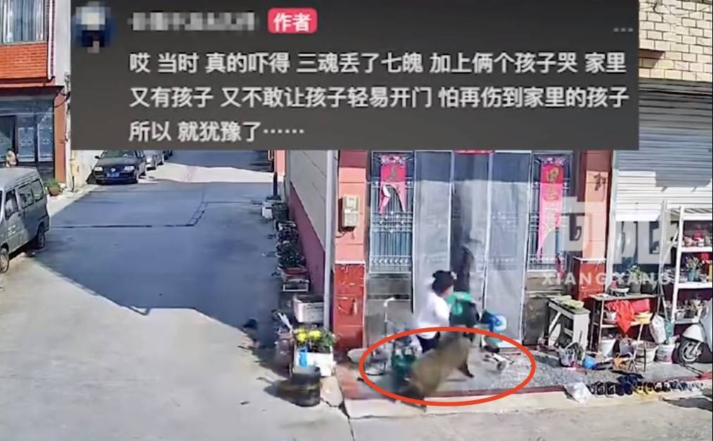 不是上海<strong></p>
<p>可转换债券交易费用</strong>！不是上海！不是上海！最新：已被特警击毙