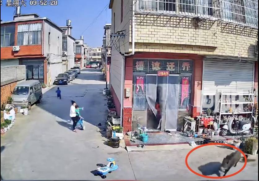 不是上海<strong></p>
<p>可转换债券交易费用</strong>！不是上海！不是上海！最新：已被特警击毙
