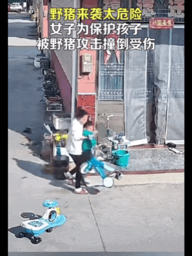 不是上海<strong></p>
<p>可转换债券交易费用</strong>！不是上海！不是上海！最新：已被特警击毙