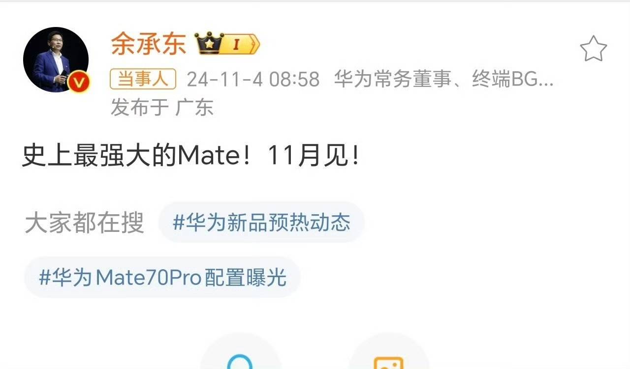 华为Mate 70官方图曝光？标注售价8599<strong></p>
<p>可转换债券交易费用</strong>，网友：这价格有点假了
