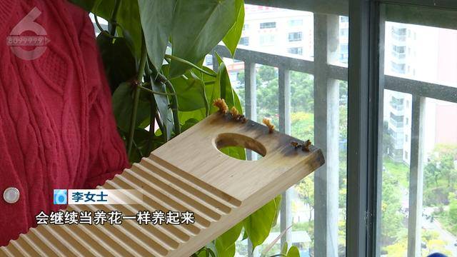 “可以蒸蛋”！昆明一女子家中搓衣板上长菌<strong></p>
<p>债券场内交易市场</strong>，品种竟是……