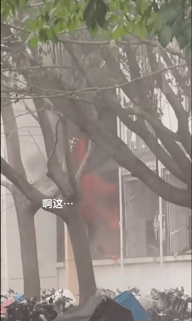 女生宿舍起火<strong></p>
<p>交易性金融资产</strong>，楼栋闸机成撤离“拦路虎”，警务室：刷脸是为保障安全