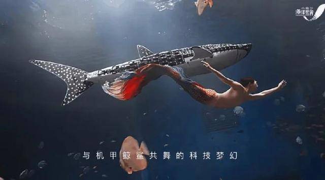 海洋馆里的鲸鲨竟是“机器鱼”<strong></p>
<p>货币市场利率走势</strong>，游客怒了！假鲸鲨贵的也要千万元，专家：确实有难处