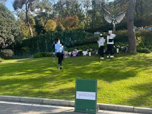 李玟武汉墓地杂草丛生<strong></p>
<p>多货币对冲循环交易</strong>？其姐姐发文回应