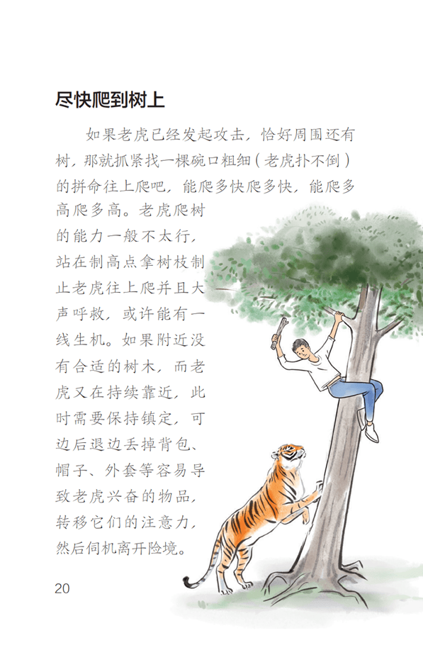 东北虎豹国家公园管理局：若确为野生东北虎肇事<strong></p>
<p>量化交易与主观交易</strong>，将理赔、垫付医疗费