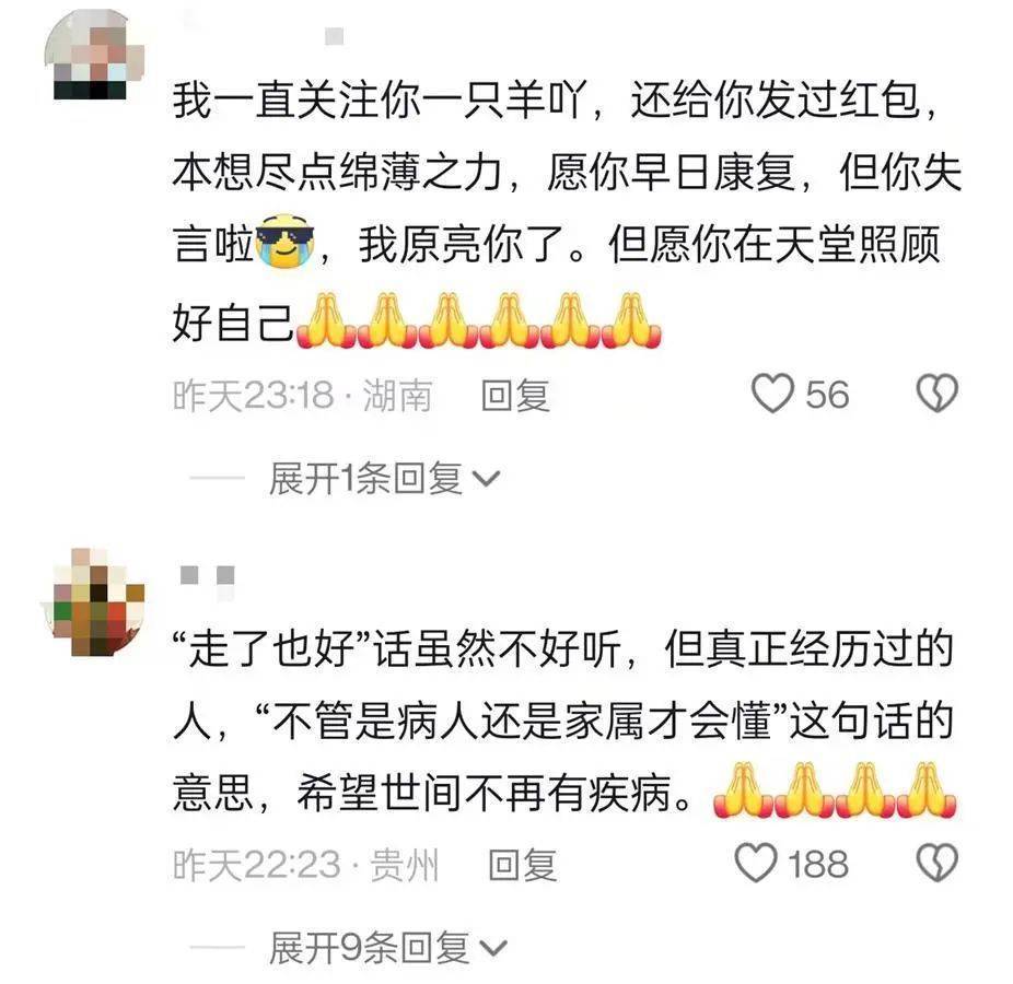 她走了<strong></p>
<p>软件计算结果判断</strong>，年仅29岁！从确诊到离世不到两年