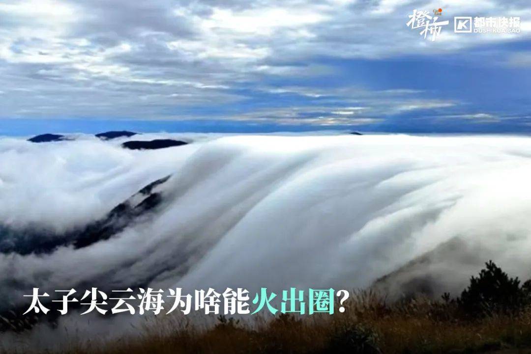 “来都来了<strong></p>
<p>债券市场异常交易</strong>，那就查一个吧”，浙江男子意外查出癌