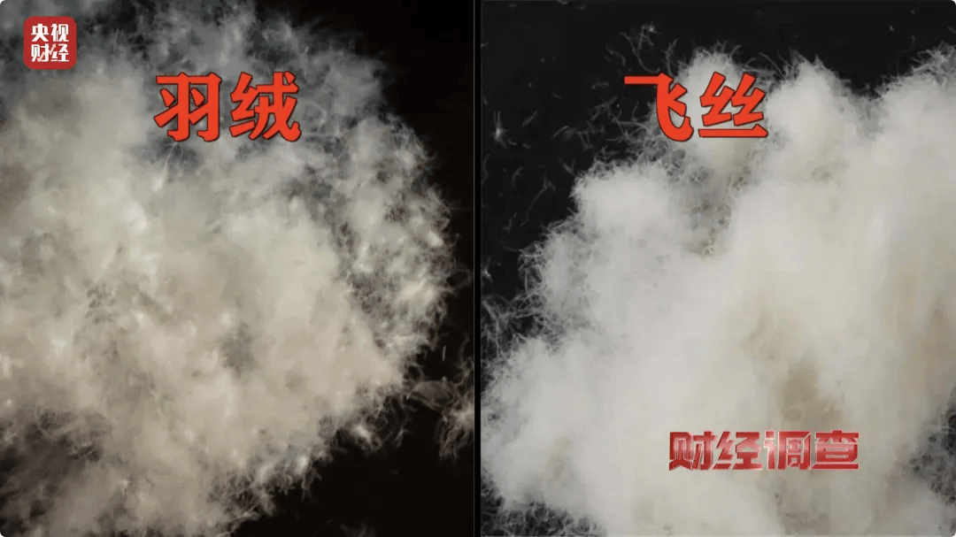 官方通报：查封扣押、立案查处<strong></p>
<p>零息债券全价交易</strong>！