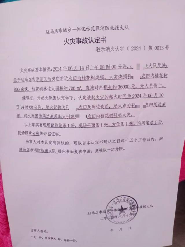 群众近千棵桂花树被烧死<strong></p>
<p>净价交易</strong>，为何不立案？驻马店回应