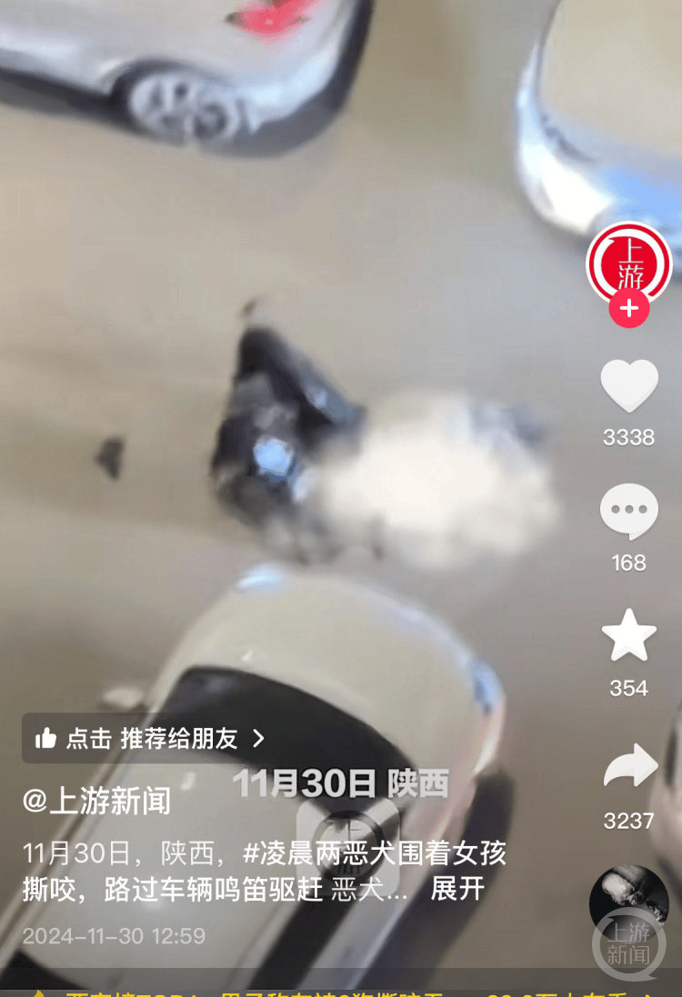 西安西郊两只大型犬围咬一女子被路过车辆驱赶<strong></p>
<p>法币交易</strong>，知情者：狗主人已接受调查