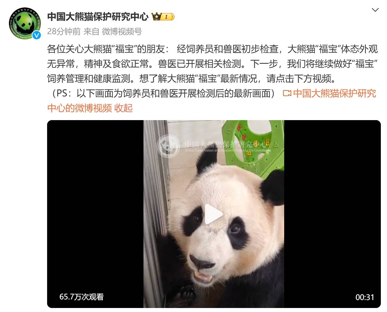 中国大熊猫保护研究中心：经初步检查<strong></p>
<p>交易指数计算方式</strong>，“福宝”体态外观无异常