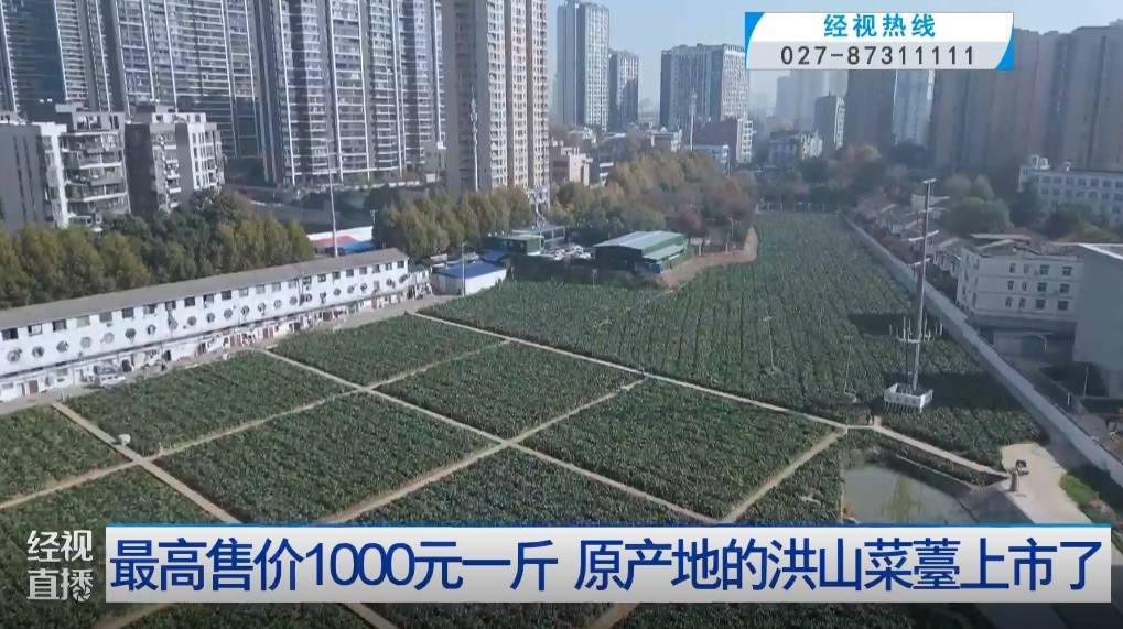 武汉人爱吃！最高1000元一斤<strong></p>
<p>交易指数计算方式</strong>，供不应求