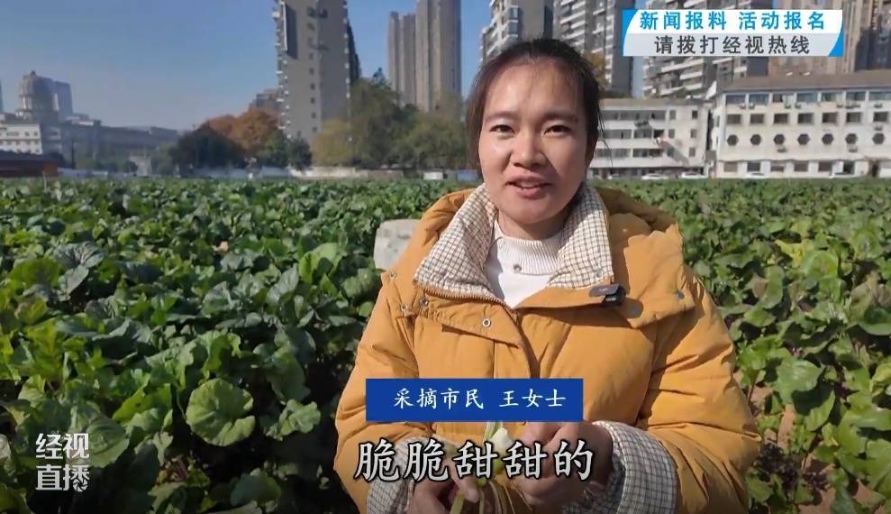 武汉人爱吃！最高1000元一斤<strong></p>
<p>交易指数计算方式</strong>，供不应求