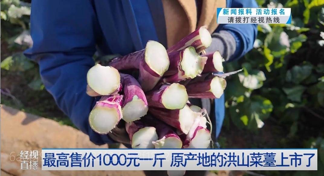 武汉人爱吃！最高1000元一斤<strong></p>
<p>交易指数计算方式</strong>，供不应求