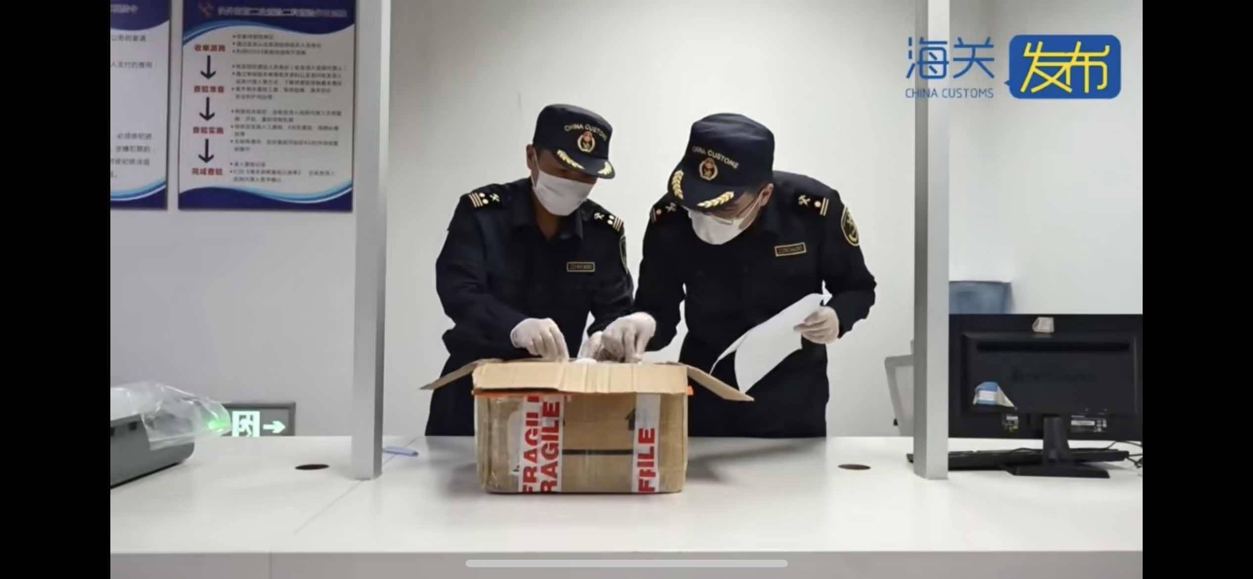 生性凶猛集体作战繁殖能力强<strong></p>
<p>币币交易模式优势</strong>，979只野蛮收获蚁入境被海关查获