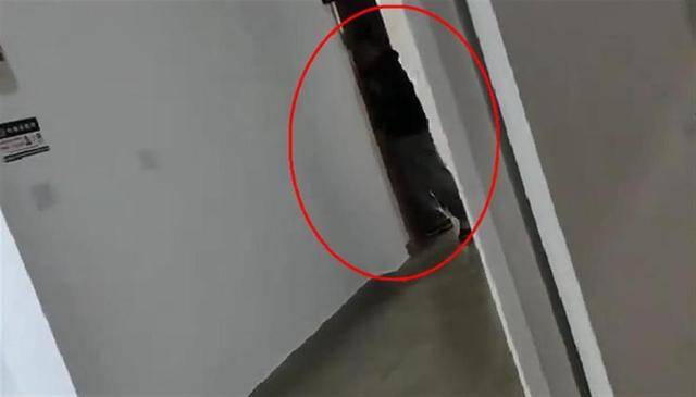 上海一高校男生晚上撞开女生寝室门<strong></p>
<p>共生币一个多少钱</strong>，校方：醉酒后走错了