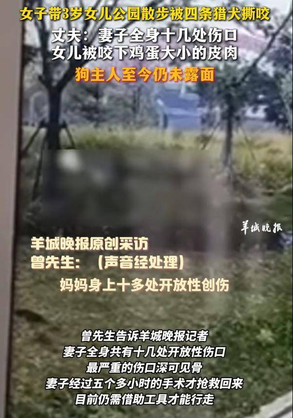 热闻|母女公园散步遭四条大型犬撕咬！家属：狗主人以没钱为由<strong></p>
<p>债券交易市场有哪些</strong>，至今未露面，治疗费用也未偿清