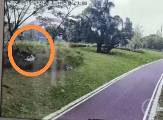 热闻|母女公园散步遭四条大型犬撕咬！家属：狗主人以没钱为由<strong></p>
<p>债券交易市场有哪些</strong>，至今未露面，治疗费用也未偿清