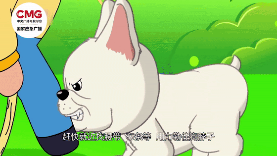 热闻|母女公园散步遭四条大型犬撕咬！家属：狗主人以没钱为由<strong></p>
<p>债券交易市场有哪些</strong>，至今未露面，治疗费用也未偿清