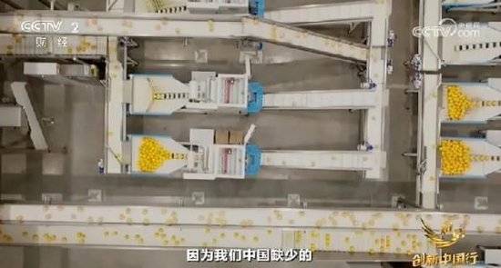 2024年末央视再度专访钟睒睒<strong></p>
<p>炒币暴富的90后</strong>，背后有何深意？