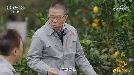 2024年末央视再度专访钟睒睒<strong></p>
<p>炒币暴富的90后</strong>，背后有何深意？