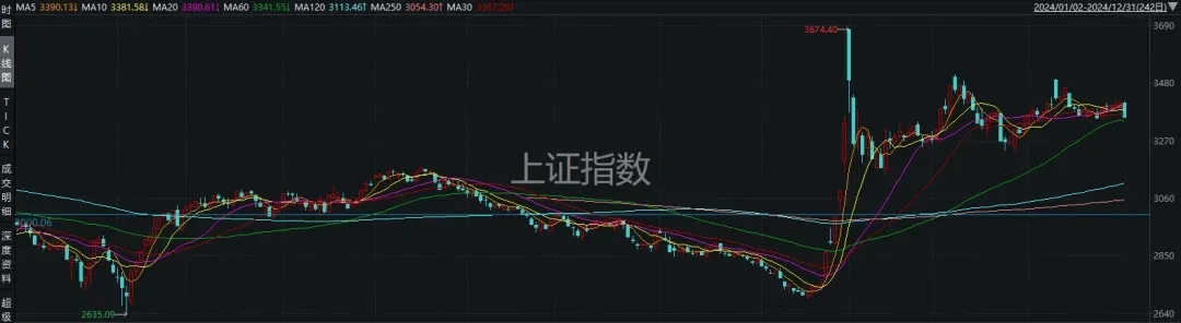 2024年<strong></p>
<p>美系货币和非美货币</strong>，最赚钱股票是它！全年涨幅387%