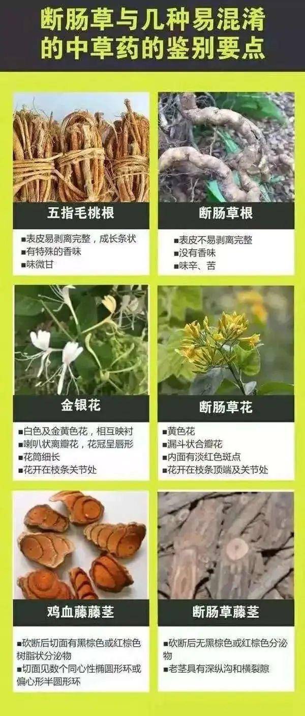 广东一老人买药材煲汤中毒身亡 当地：店铺误售断肠草<strong></p>
<p>上证债券交易规则</strong>，老板被拘留