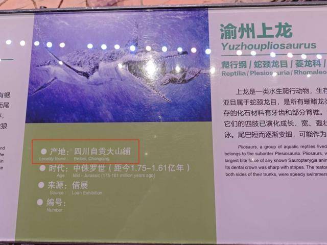“天工开物”写成“天宫开物”<strong></p>
<p>货币掉期交易举例</strong>，成都多家博物馆被指展品标识错误，回应：尽快更正